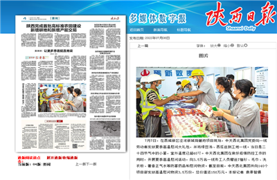 PT视讯西北集团珑樾府项目高温慰问——《陕西日报》